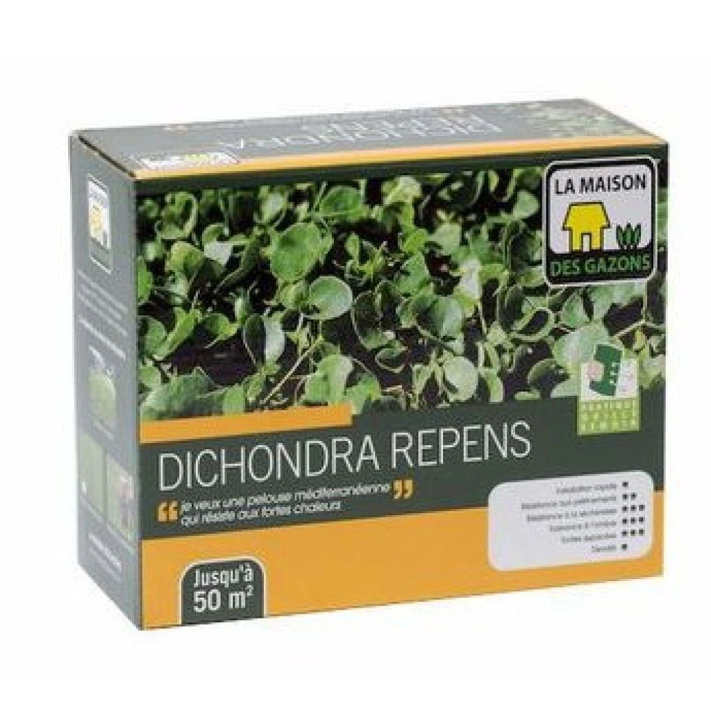 Graines De Dichondra Repens 1 Graines De Dichondra Repens